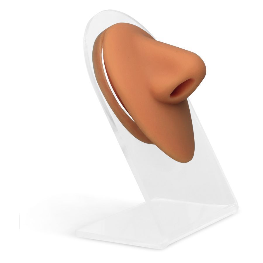 Body Bit Nose 