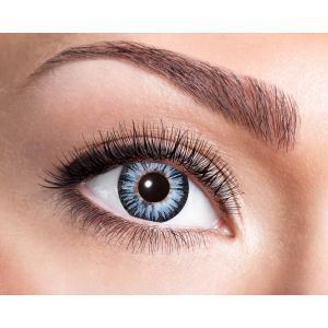 Big Eye Grey