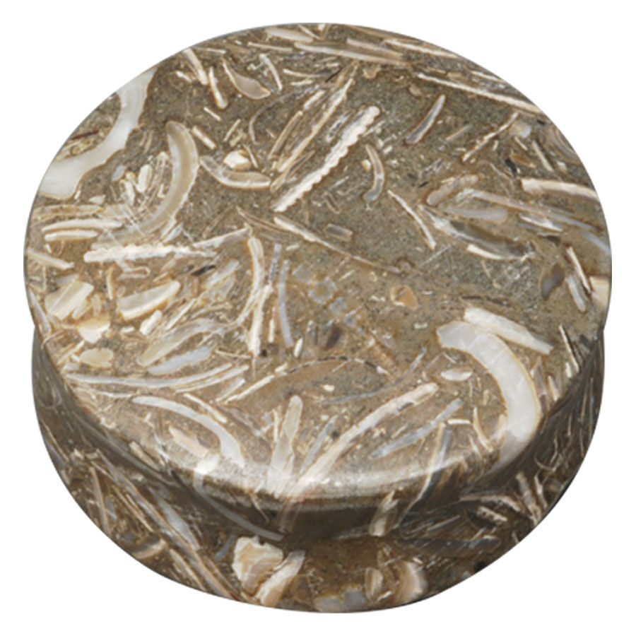 Fossilized Seagrass Plug